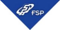 FSP Group