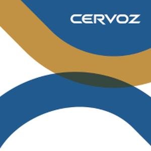Модули оперативной памяти DDR5 от компании Cervoz